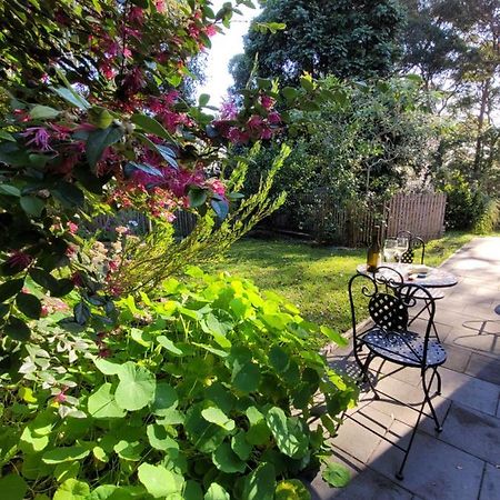 Garden Rest Leilighet New Lambton Eksteriør bilde